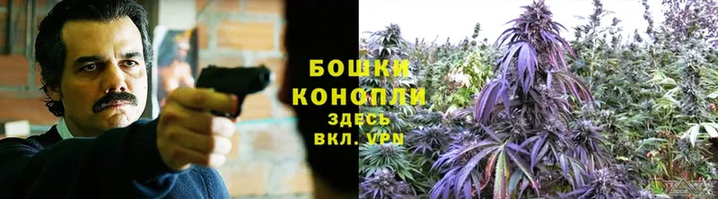 Канабис OG Kush  Десногорск 